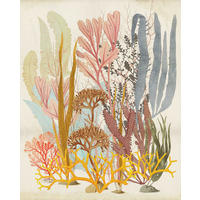 Komar Fototapete Catchy Corals B/L: ca. 200x250 cm Catchy Corals - (200,00/250,00cm) - Komar