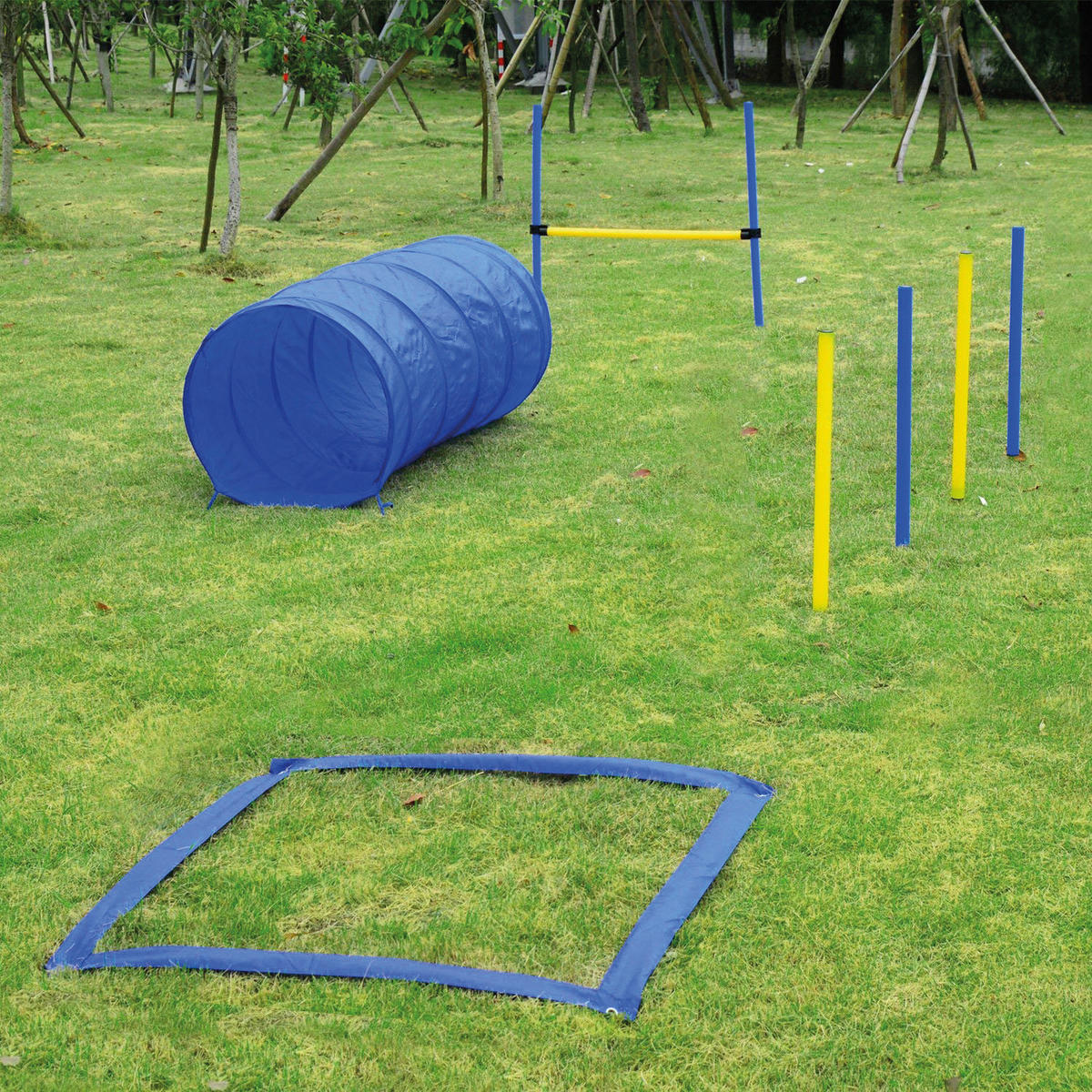 PawHut Agilityset für den Hund Hund_Agilityset - blau/gelb - PawHut