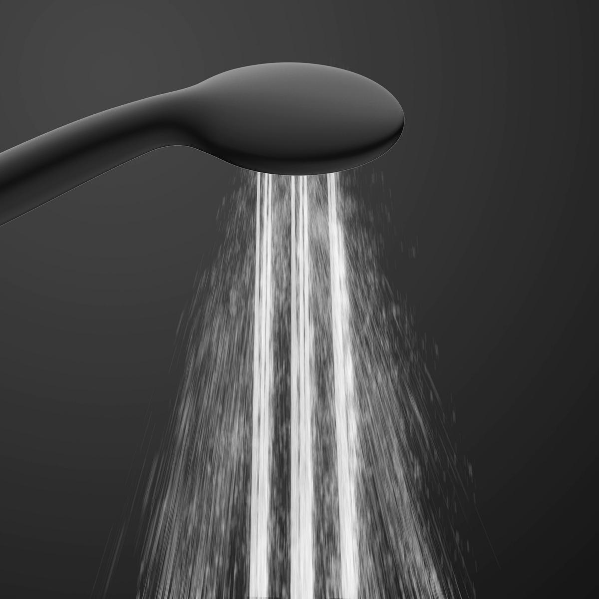 Handbrause schwarz Handbrauseset_Leon schwarz - schwarz/mattschwarz - EISL