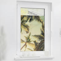 LICHTBLICK Fensterfolie Palmen und Sonne Palmen Palmen und Sonne grün B/L: ca. 50x100 cm Palmen und Sonne - grün (50,00/100,00cm) - LICHTBLICK