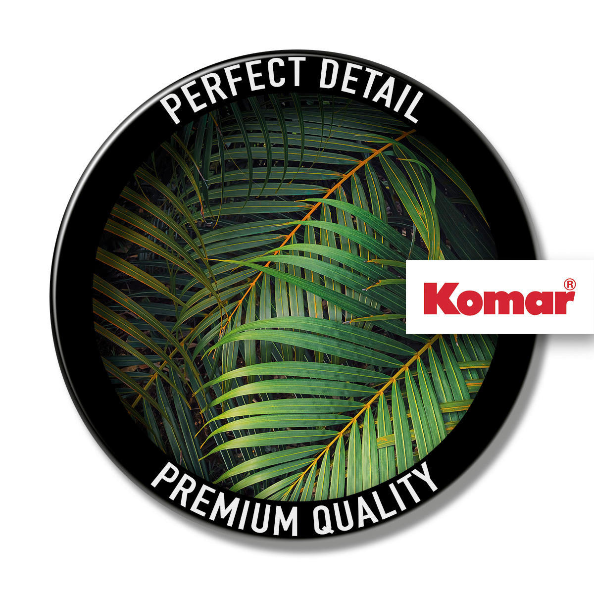 Komar Fototapete Amazon Fern B/L: ca. 400x250 cm Amazon Fern - (400,00/250,00cm) - Komar