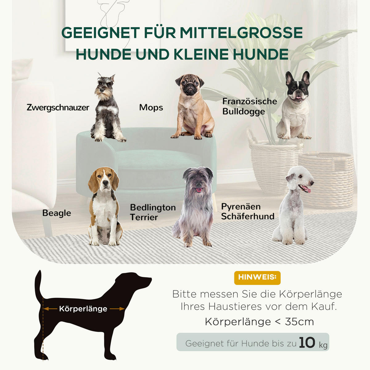 PawHut Hunde-Zubehör grün Polypropylen B/H/L: ca. 68x68x35 cm Hundebett - grün (35,00/68,00/68,00cm) - PawHut
