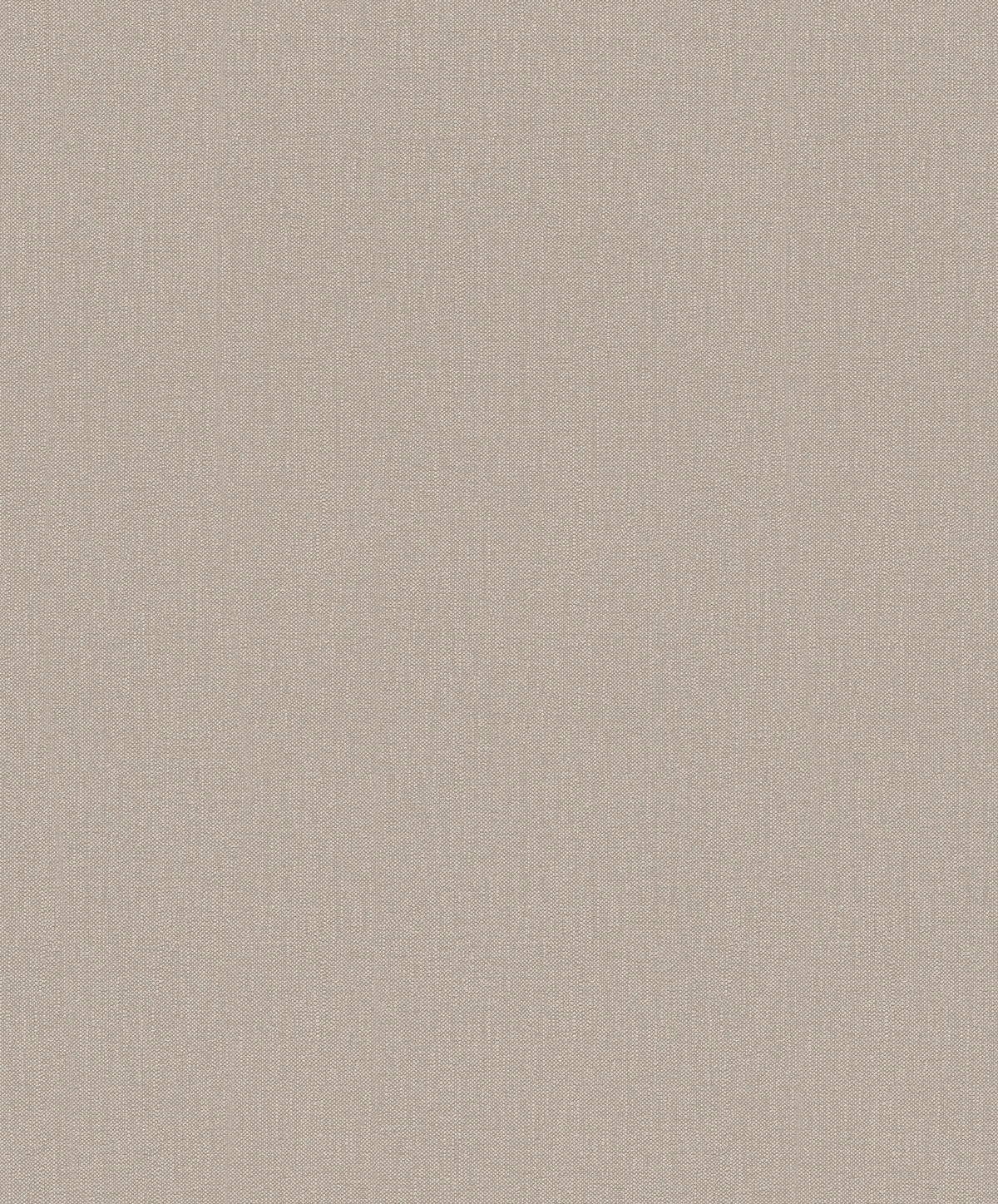 A.S.Creation Vliestapete Styleguide Natural Colours 2021 Uni braun B/L: ca. 53x1005 cm Styleguide Natural Colours 2021 - braun (53,00/1005,00cm) - A.S.Creation