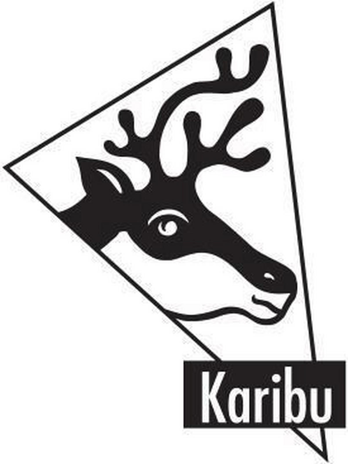 Karibu Stelzenhaus Ervin natur B/H/L: ca. 264x309x438 cm Ervin - blau/natur (438,00/264,00/309,00cm) - Karibu