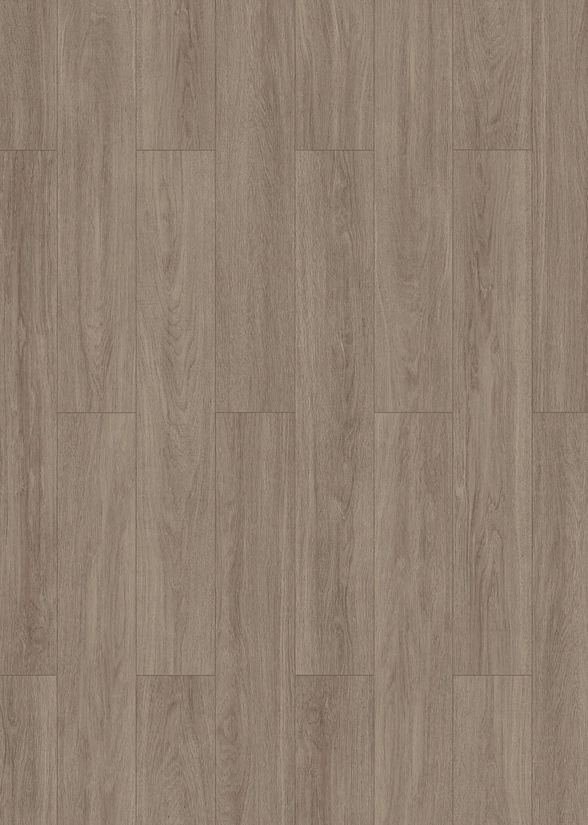 Laminatboden Eiche braun ca. 2,245 m² im Paket  B/L: ca. 19,4x128,6 cm pro Paket Eiche braun ca. 2,245 m² im Paket - braun/dunkelgrau (19,40/128,60cm)