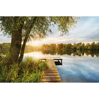 Komar Fototapete Picnic B/L: ca. 368x248 cm Picnic - (368,00/248,00cm) - Komar