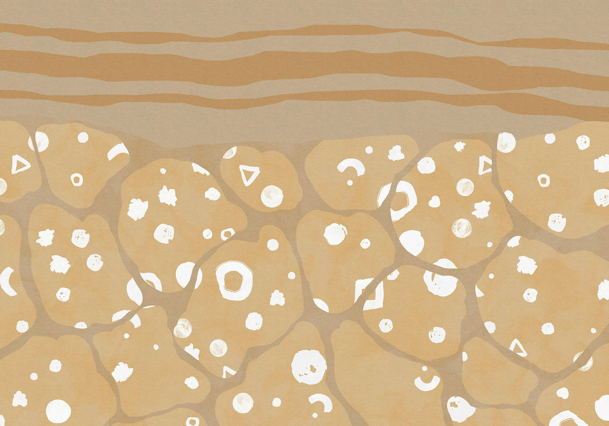 Komar Fototapete Subsoil B/L: ca. 400x280 cm Subsoil - (400,00/280,00cm) - Komar