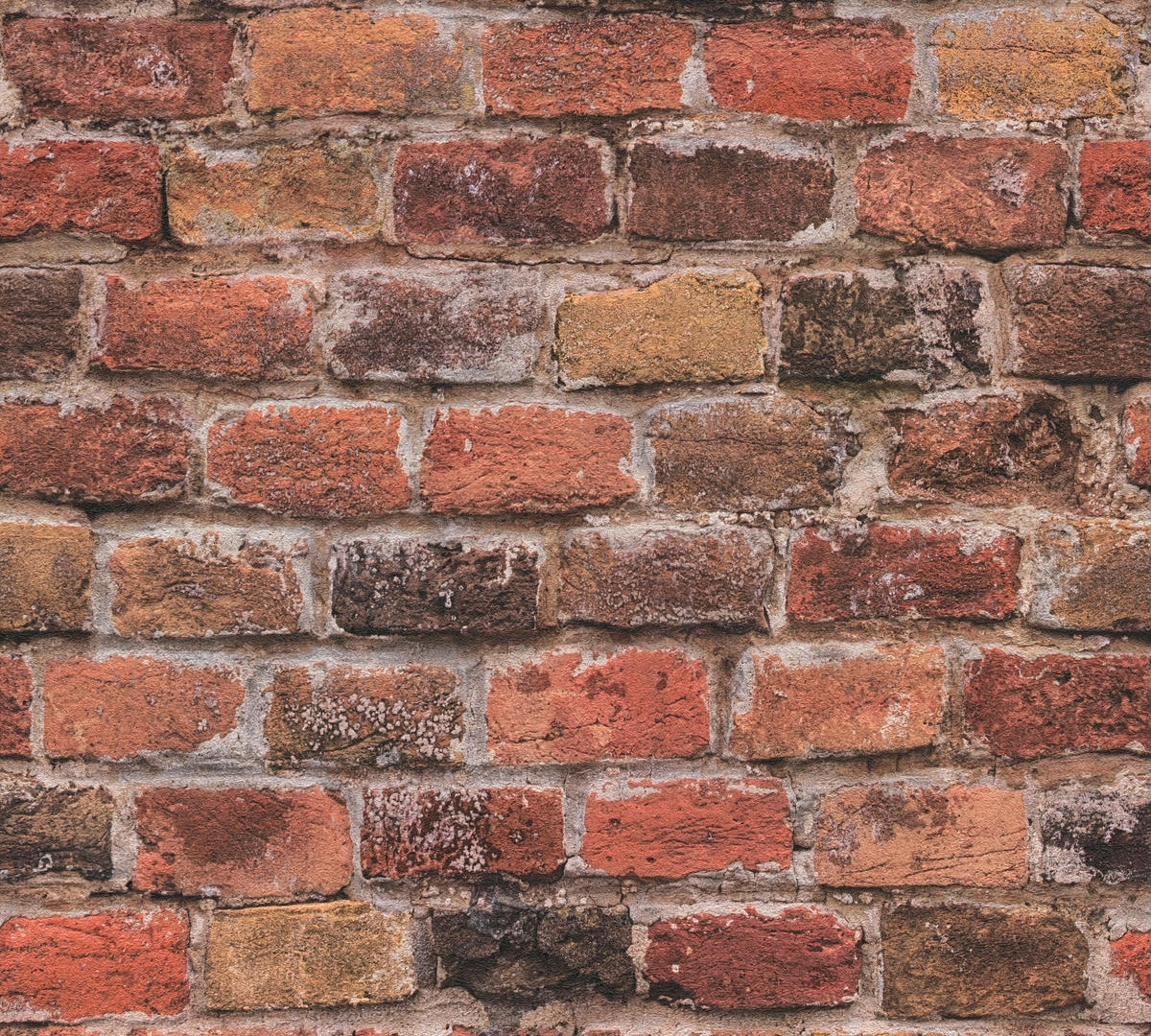 A.S.Creation Vliestapete orange braun B/H/D: ca. 53x1005x8,6 cm Vliestapete - braun/orange (8,60/1005,00cm) - A.S.Creation