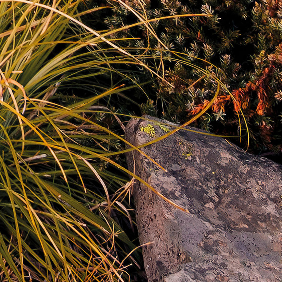 Komar Fototapete Kingdom of a Mountain B/L: ca. 450x280 cm Kingdom of a Mountain - (450,00/280,00cm) - Komar