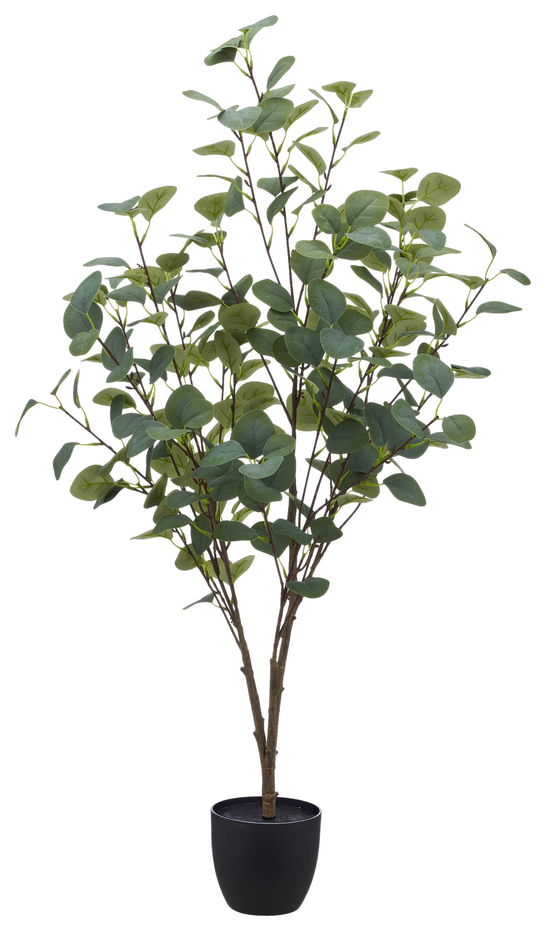 Kunstpflanze grün Kunststoff H: ca. 100 cm Eukalyptusbaum - grün (100,00cm)