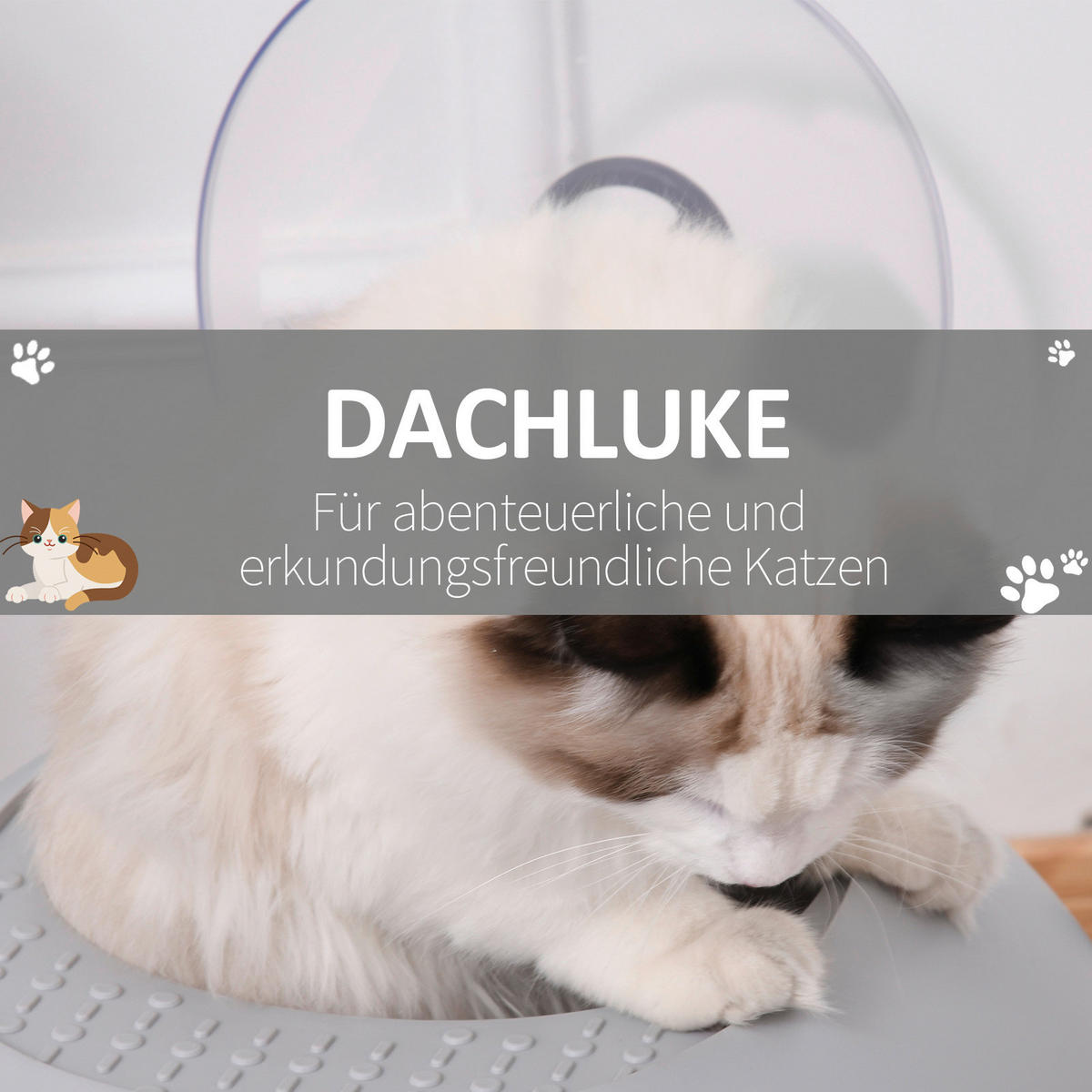 PawHut Katzentoilette grau Polypropylen B/H/L: ca. 47x44x55 cm Katzentoilette - grau (55,00/47,00/44,00cm) - PawHut