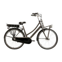 Hollandia E-Cityrad Carry on Carry on 28'' 28 Zoll Rahmenhöhe 54 cm 3 Gänge grau grau ca. 250 W ca. 36 V ca. 28 Zoll Carry on - grau - Hollandia