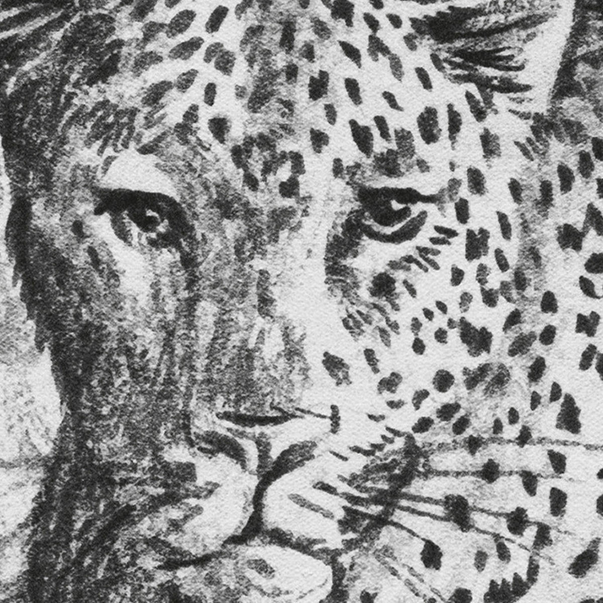 Komar Fototapete Léopards B/L: ca. 350x250 cm Léopards - (350,00/250,00cm) - Komar