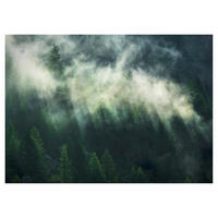 Komar Fototapete Misty Crowns Wald B/L: ca. 350x250 cm Misty Crowns - (350,00/250,00cm) - Komar