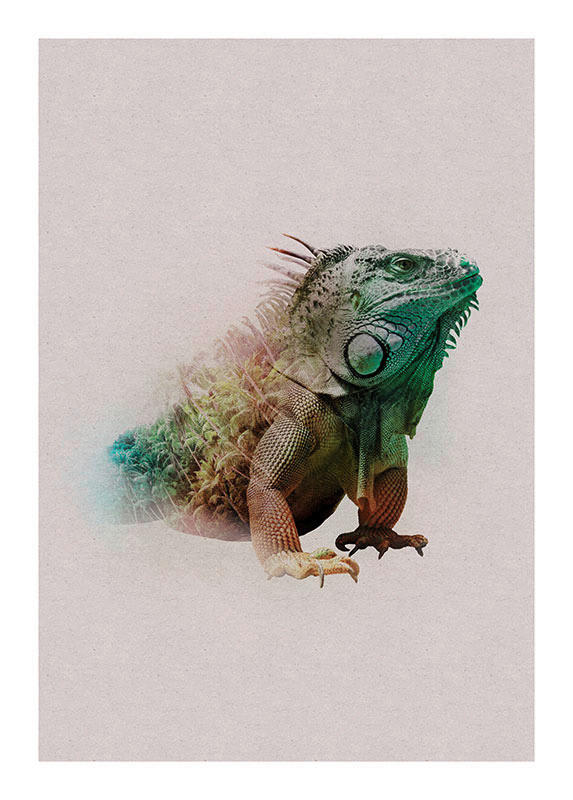 Komar Poster Animals Paradise Iguana Tiere B/L: ca. 50x70 cm günstig online kaufen