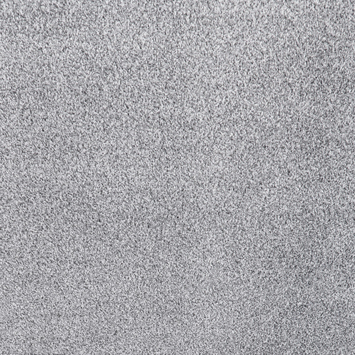 Teppichboden Winchester hellgrau B: ca. 500 cm pro m² Winchester - hellgrau (500,00cm)