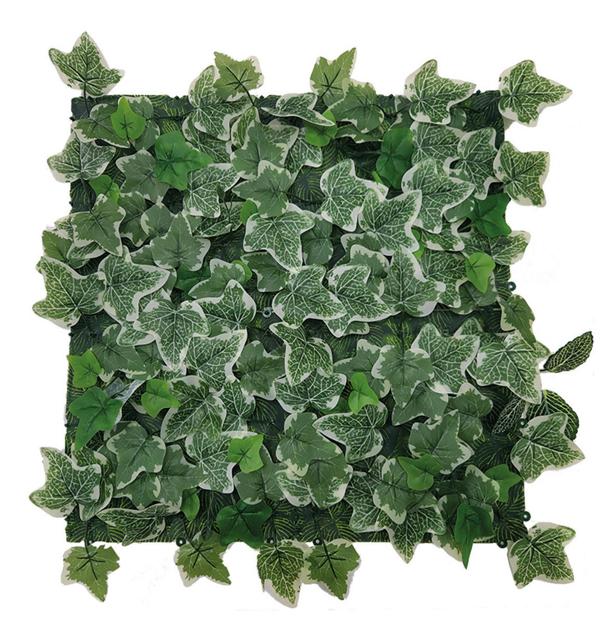 CATRAL/NORTENE Vertikal-Garten grün Kunststoff B/H/L: ca. 50x1,5x50 cm Vertikal-Garten - grün (50,00/50,00/1,50cm) - CATRAL/NORTENE