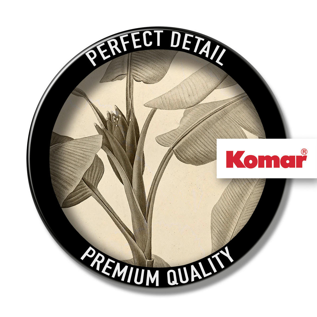 Komar Fototapete Banana Plant D: ca. 125 cm Banana Plant - (125,00cm) - Komar