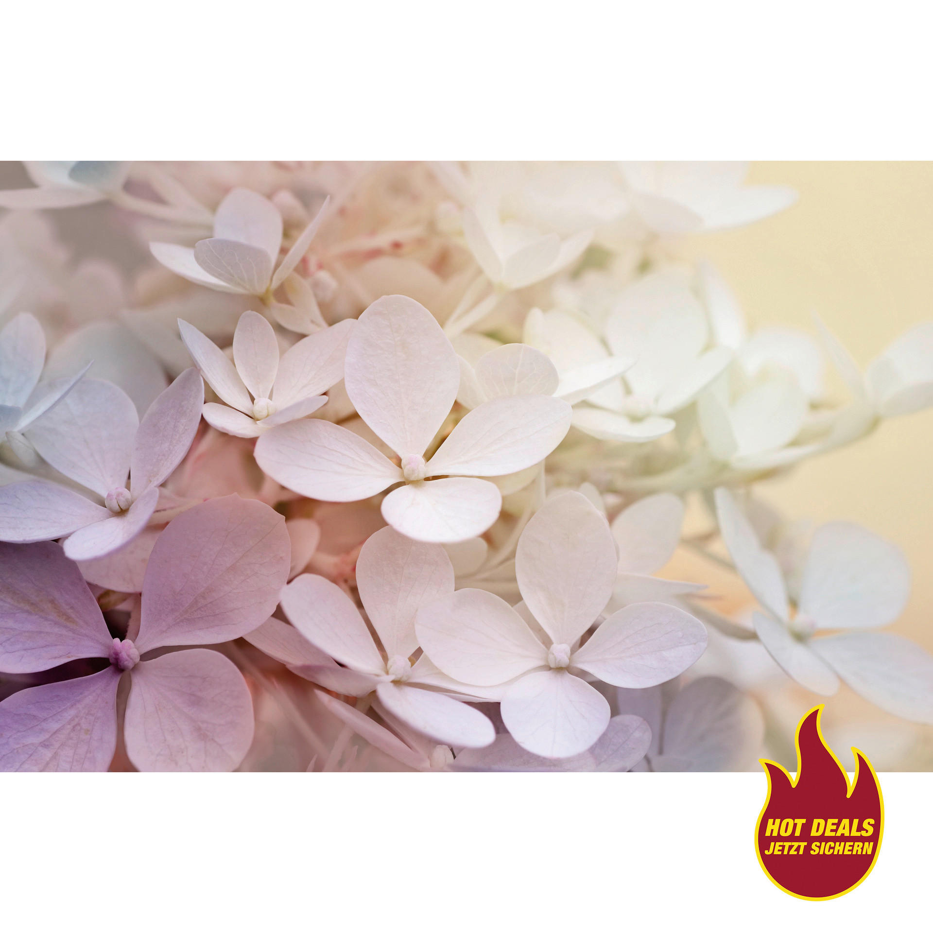 The Wall Keilrahmenbild Bloom B/L: ca. 76x116 cm Keilrahmenbild 116x76cm - (76,00/116,00cm) - The Wall