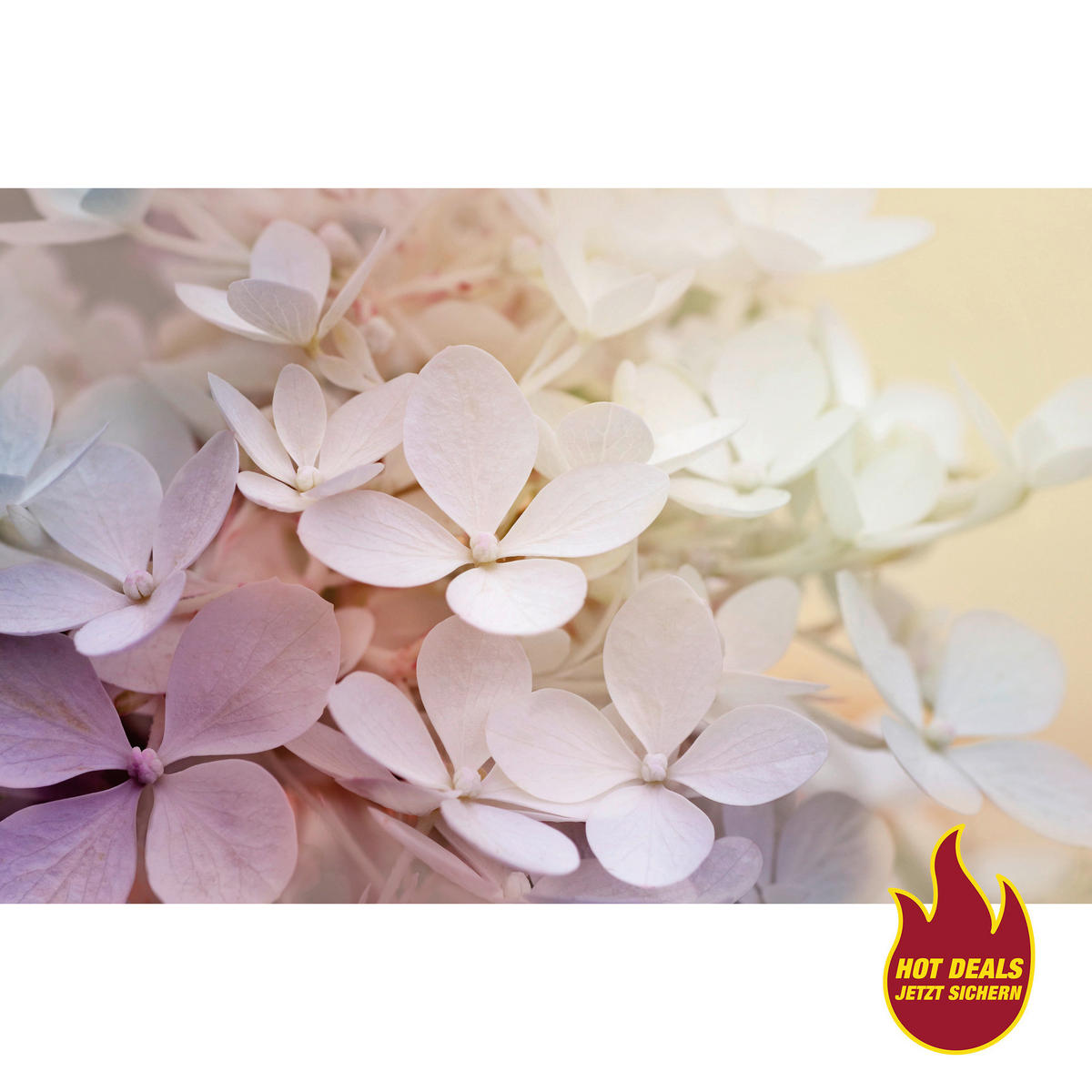 The Wall Keilrahmenbild Bloom B/L: ca. 76x116 cm Keilrahmenbild 116x76cm - (76,00/116,00cm) - The Wall