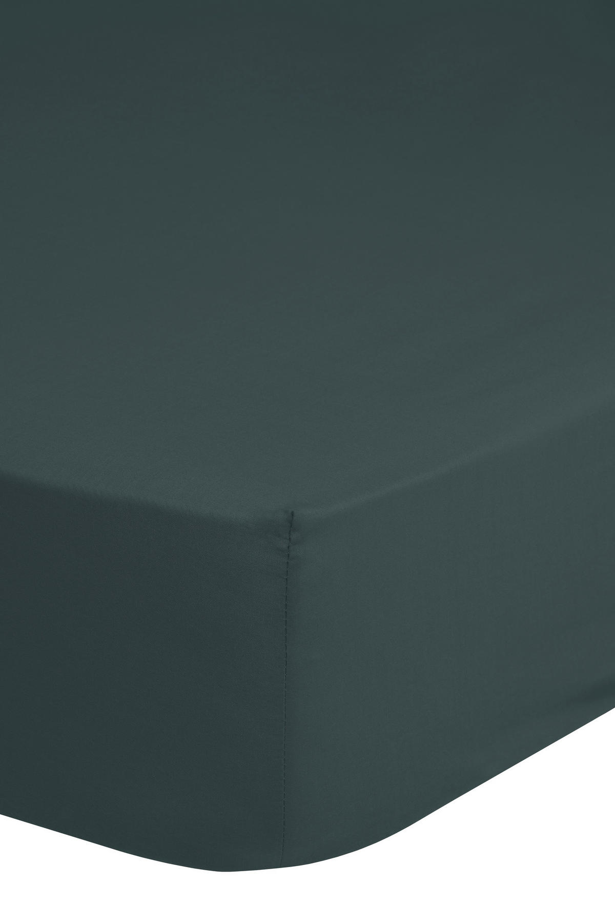 Baumwoll Spannbetttuch Spannbetttuch-Baumwolle 90x220cm - dunkelgrün (90,00/220,00cm) - Good Morning