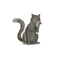 Komar Poster Cute Animal Cat Katze B/L: ca. 50x70 cm Cute Animal Cat - (50,00/70,00cm) - Komar