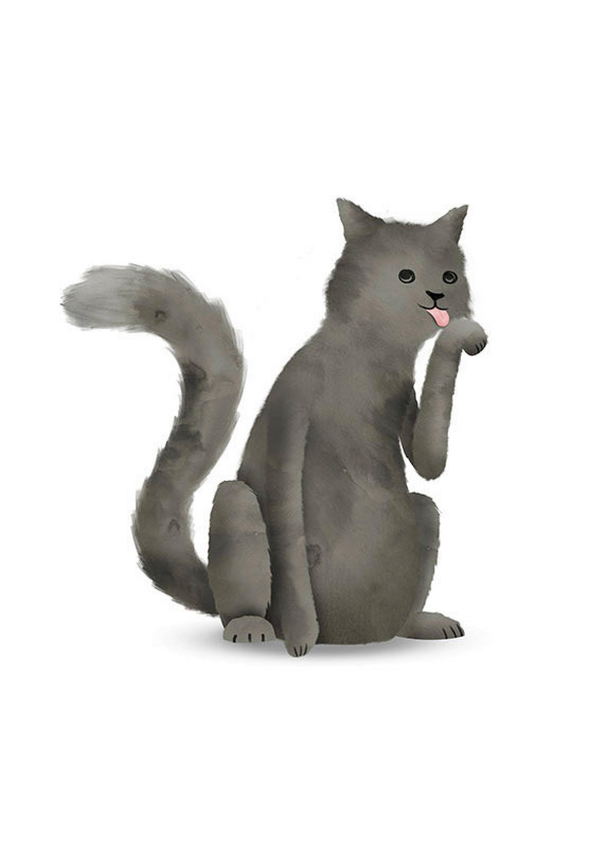 Komar Poster Cute Animal Cat Katze B/L: ca. 50x70 cm Cute Animal Cat - (50,00/70,00cm) - Komar