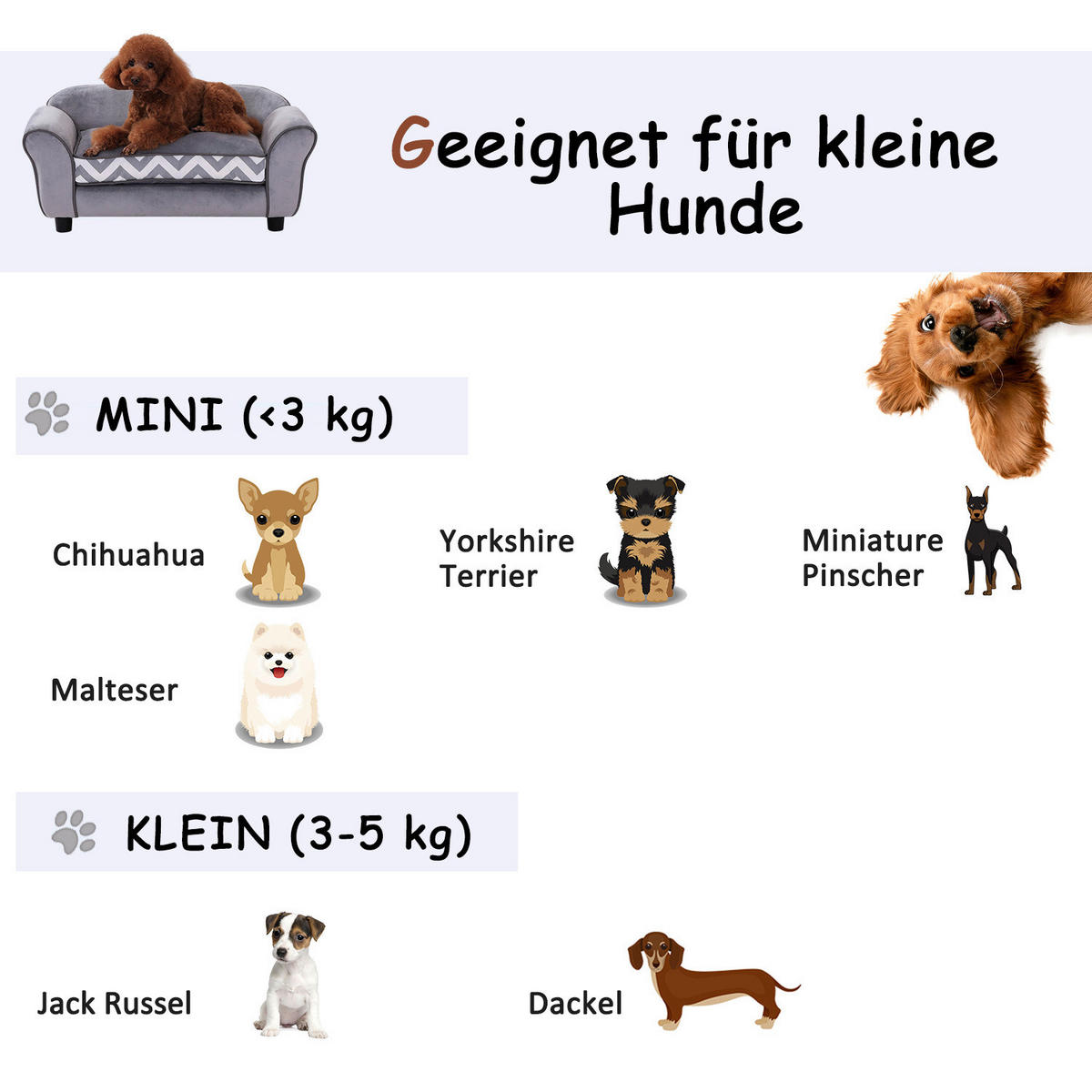 PawHut Hundesofa grau Holz B/H/L: ca. 41x33x74 cm Hundesofa - grau (74,00/41,00/33,00cm) - PawHut