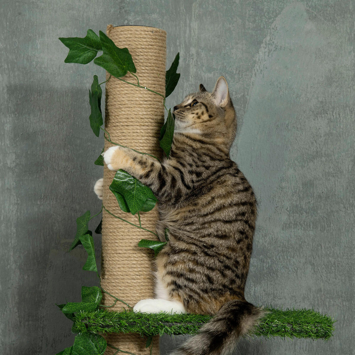 PawHut Kratzbaum gelb Spanplatte B/H/L: ca. 21x242x37 cm Kratzbaum - gelb/grün (37,00/21,00/242,00cm) - PawHut