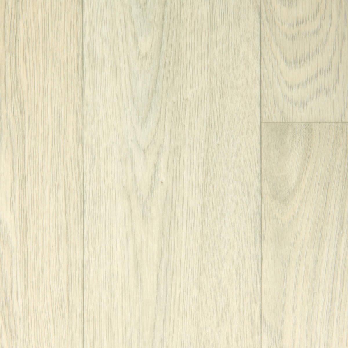 Vinylboden Iconik hellgrau Eiche B: ca. 400 cm pro m² Iconik - hellgrau (400,00cm)