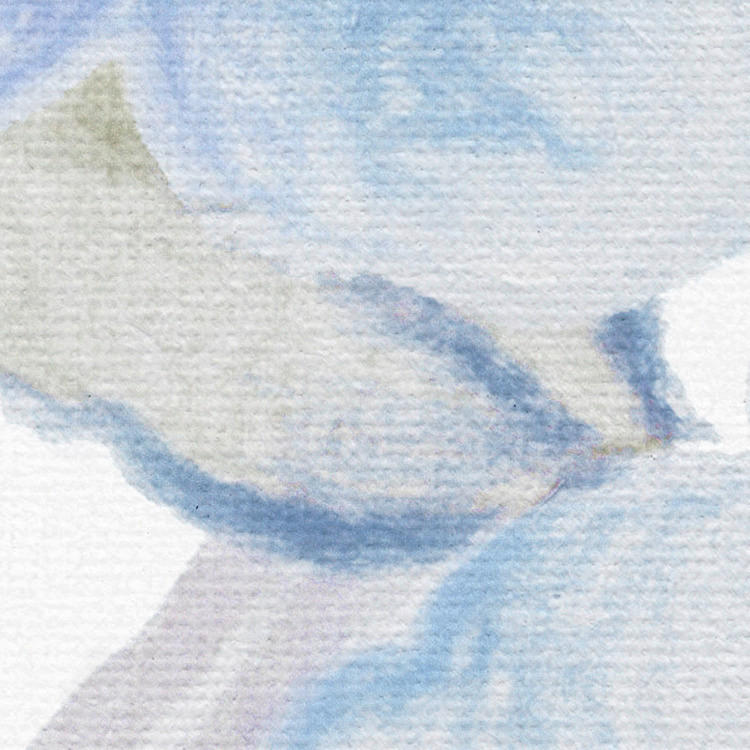 Komar Fototapete Bleu Ciel B/L: ca. 250x250 cm Bleu Ciel - (250,00/250,00cm) - Komar