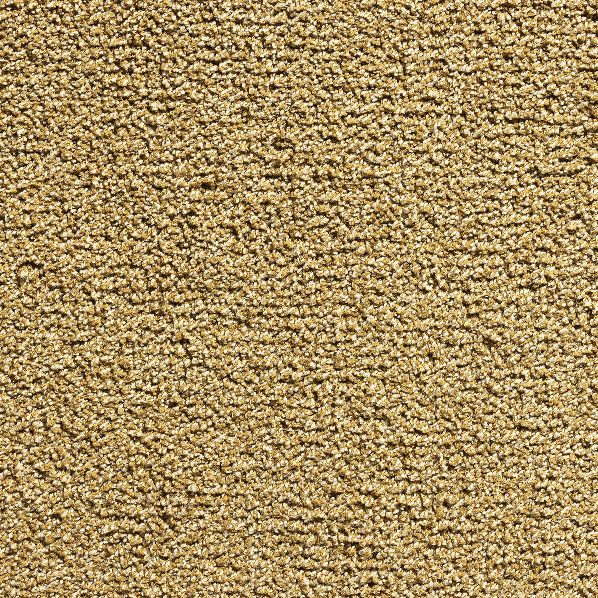 Teppichboden Java gold B: ca. 400 cm pro m² Java - gold (400,00cm)