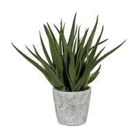 Kunstpflanze Aloe grün Kunststoff B/H/L: ca. 17x55x17 cm Aloe - grün (17,00/17,00/55,00cm)