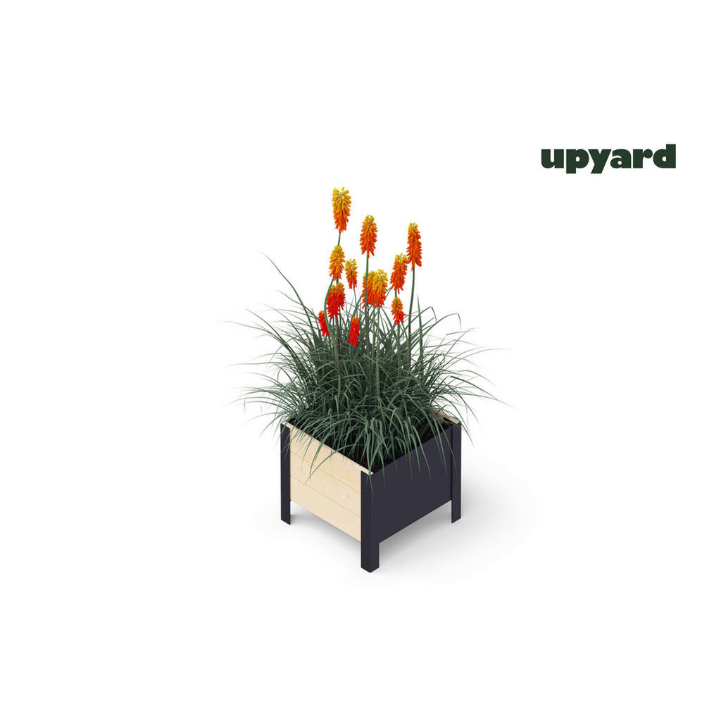 Thumbnail - UPYARD Hochbeet MODERN natur Holz B/H/L: ca. 36x32x36 cm