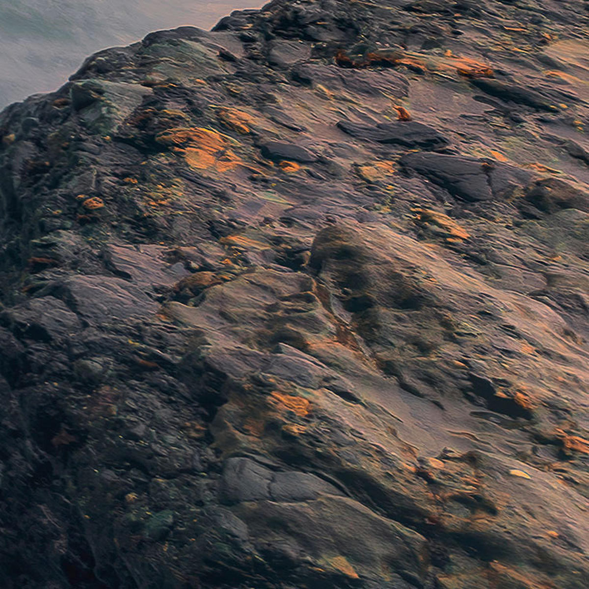 Komar Fototapete Cry of the Sea B/L: ca. 200x280 cm Cry of the Sea - (200,00/280,00cm) - Komar