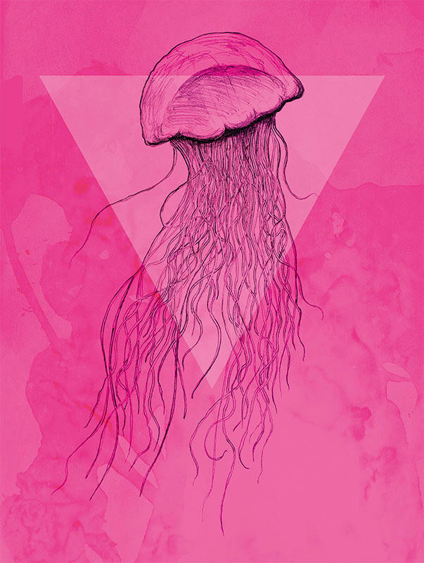 Komar Wandbild Jellyfish Pink Tiere B/L: ca. 30x40 cm günstig online kaufen