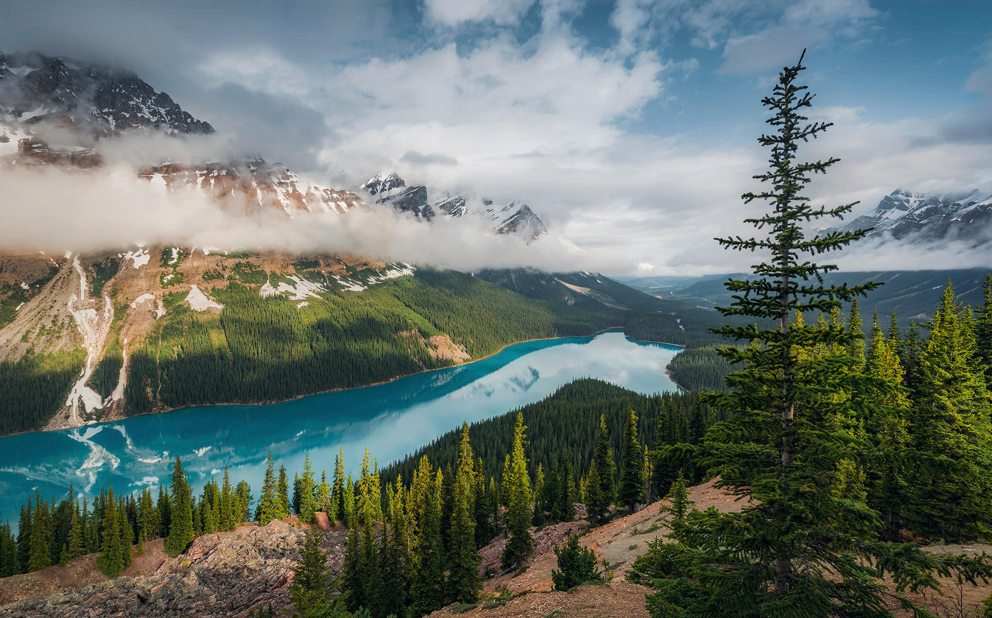 Sanders & Sanders Fototapete Landschaft Grün und Blau 450 x 280 cm 612680 günstig online kaufen