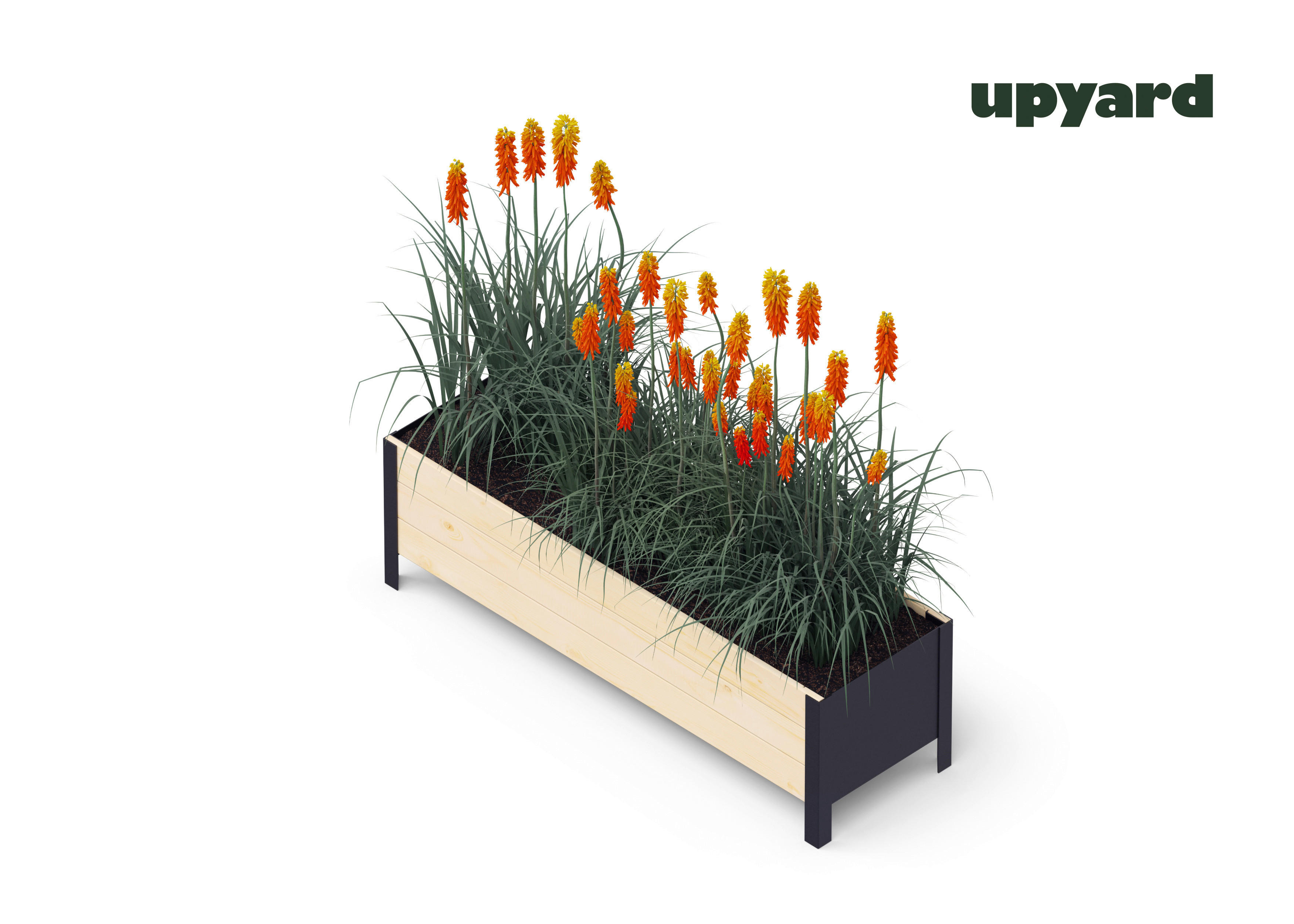 UPYARD Hochbeet MODERN natur Holz B/H/L:...