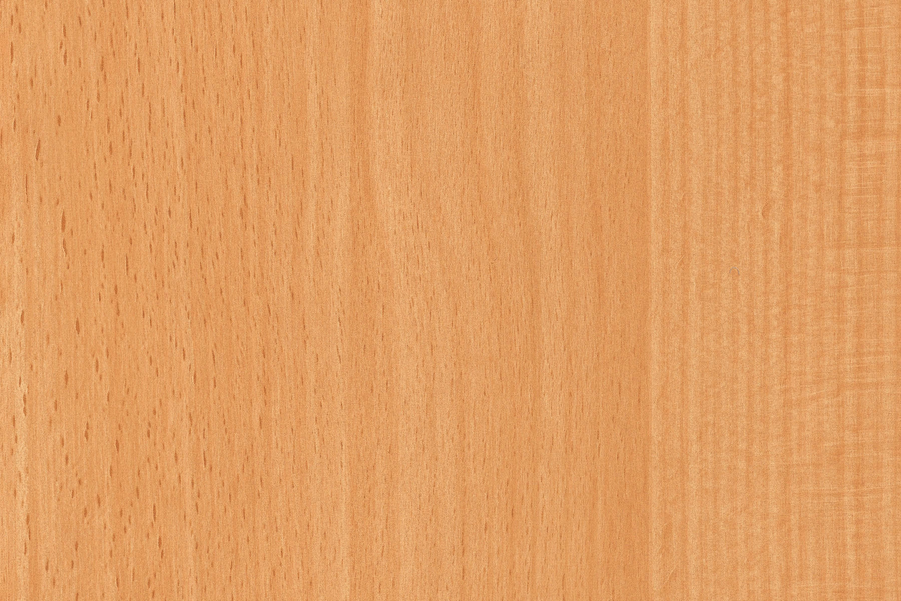 d-c-fix Dekofolie Holzoptik buche rotbraun B/L: ca. 90x210 cm Klebefolie_d-c-fix_F3465040 - rotbraun/buche (90,00/210,00cm) - d-c-fix