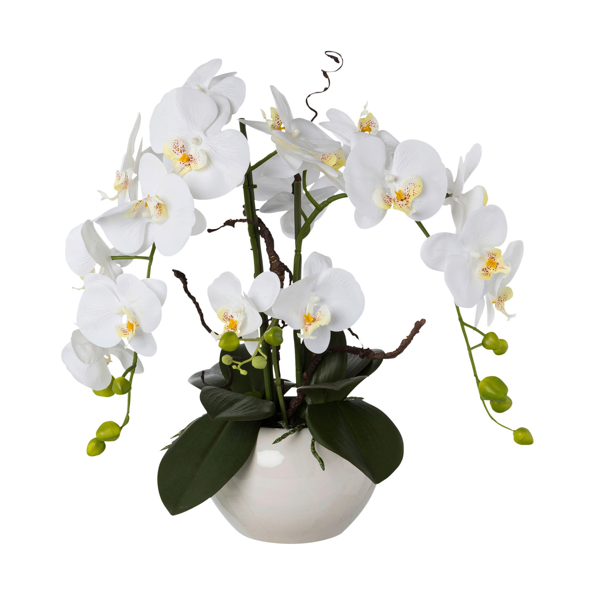 Kunstpflanze Orchideen-Arrangement weiß Kunststoff B/H/L: ca. 27x50x27 cm Orchideen-Arrangement - weiß (27,00/27,00/50,00cm)