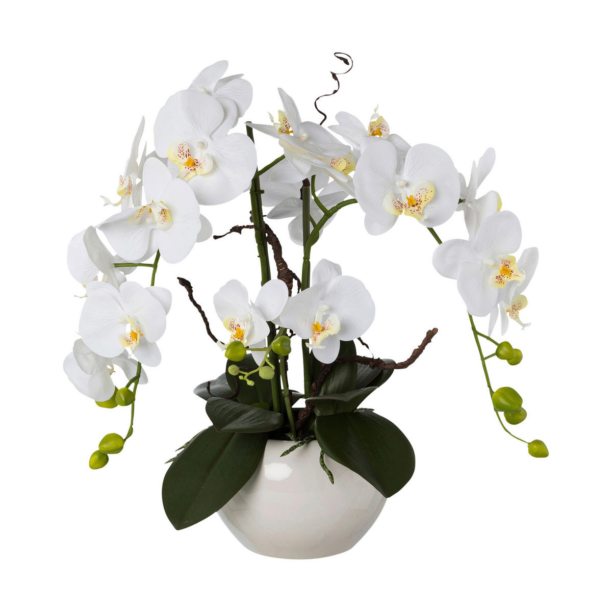 Kunstpflanze Orchideen-Arrangement weiß Kunststoff B/H/L: ca. 27x50x27 cm Orchideen-Arrangement - weiß (27,00/27,00/50,00cm)