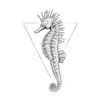 Komar Poster Sea Horse White Tiere B/L: ca. 50x70 cm Sea Horse White - (50,00/70,00cm) - Komar