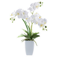 Kunstpflanze Phalaenopsis weiß Kunststoff B/H/L: ca. 20x68x20 cm Phalaenopsis - weiß (20,00/20,00/68,00cm)
