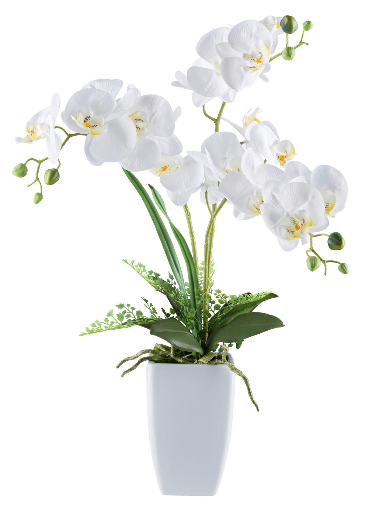 Kunstpflanze Phalaenopsis weiß Kunststoff B/H/L: ca. 20x68x20 cm Phalaenopsis - weiß (20,00/20,00/68,00cm)