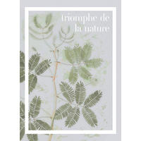 Komar Poster Triomphe de la nature Spruch B/L: ca. 50x70 cm Triomphe de la nature - (50,00/70,00cm) - Komar