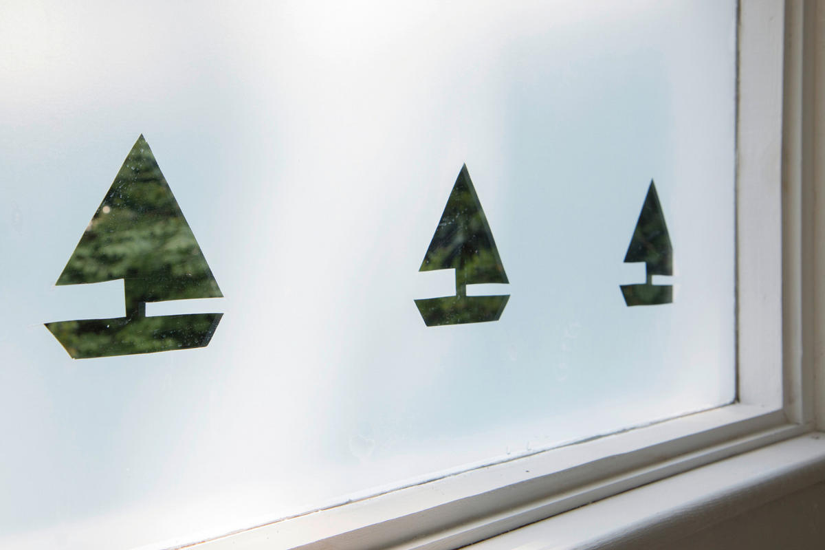 d-c-fix Fensterfolie Frost transparent B/L: ca. 90x150 cm Fensterfolie_d-c-fix_F3385011 - transparent (90,00/150,00cm) - d-c-fix