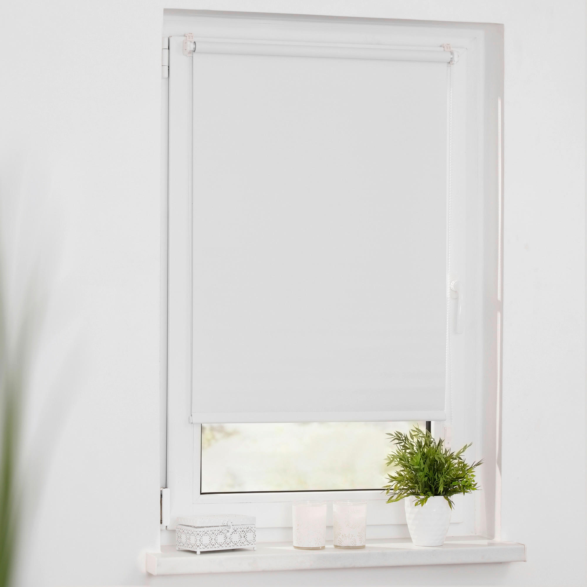 Verdunkelungsrollo creme B/L: ca. 45x150 cm Rollo_VD_Klemmfix_verspannt - creme (45,00/150,00cm) - LICHTBLICK