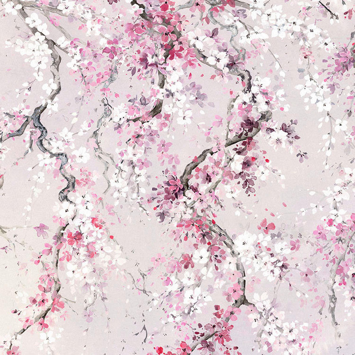 Komar Fototapete Kirschblüten B/L: ca. 300x280 cm Kirschblüten - (300,00/280,00cm) - Komar