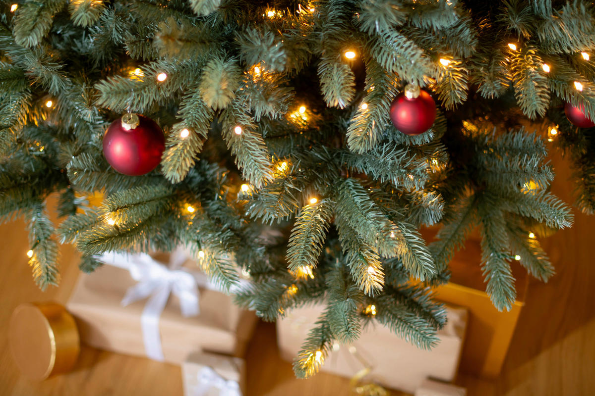 Evergreen Weihnachtsbaum Vermont Fichte Vermont Fichte - grün (160,00/160,00/240,00cm) - Evergreen