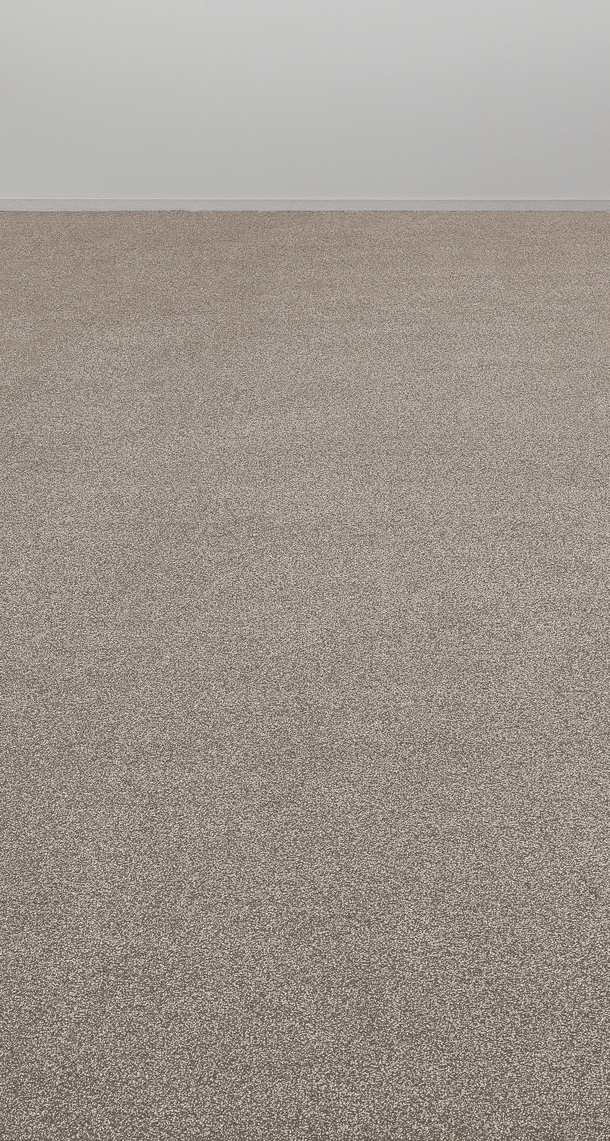 Teppichboden Hanoi beige B: ca. 400 cm pro m² Hanoi - beige (400,00cm)